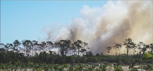 Smoke rising from the New Providence Landfill on Tuesday last week.
�Photo: Heather Carey